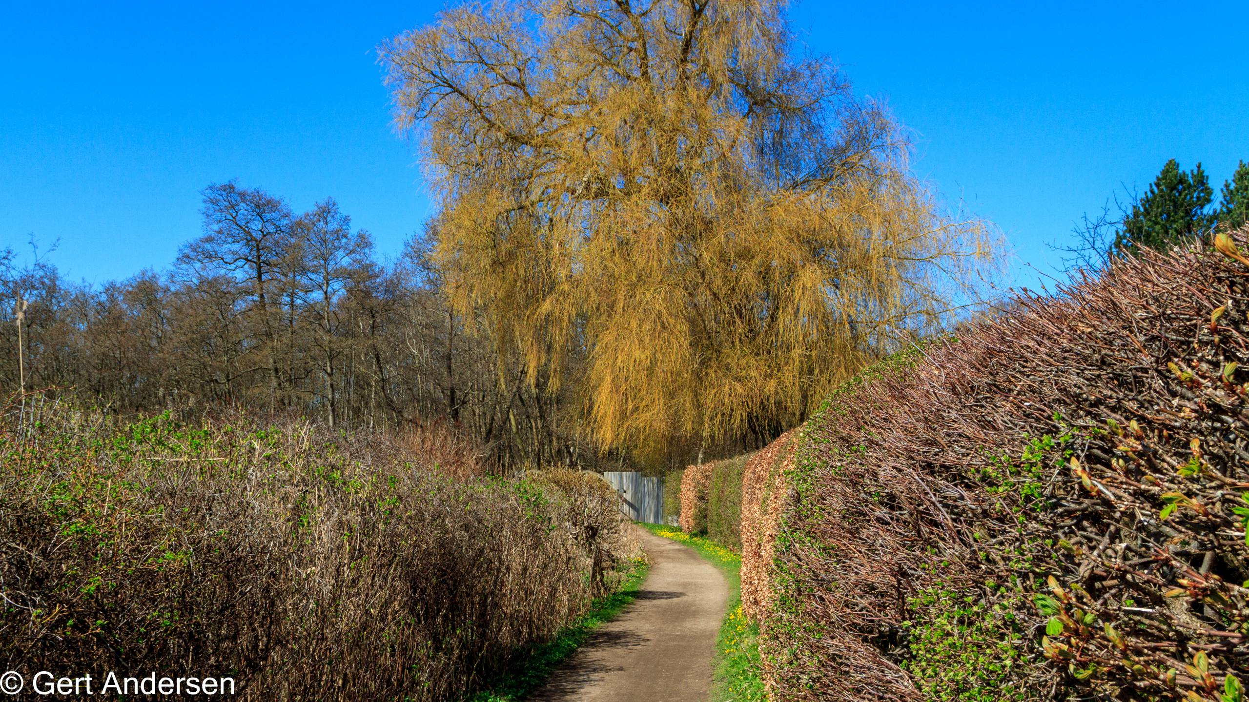 Lyngby Sø (12 of 37) compressed